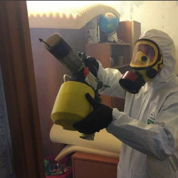 Уничтожение клопов в квартире. Чегем